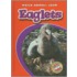 Eaglets