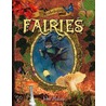 Fairies door John Malam