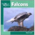 Falcons