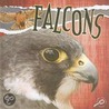 Falcons door Julie K. Lundgren