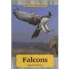 Falcons door Karen D. Povey