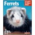 Ferrets
