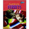 Ferrets door Joe Walters