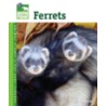 Ferrets door Vickie McKimmey