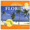 Florida by Jose M. Obregon