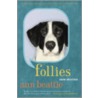 Follies door Ann Beattie