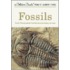 Fossils