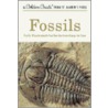 Fossils door Paul R. Shaffer