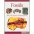 Fossils