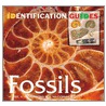Fossils by Sue McCormick