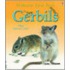 Gerbils