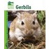 Gerbils
