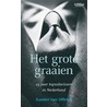 Het grote graaien