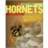 Hornets