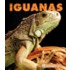 Iguanas
