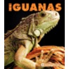 Iguanas door Kathryn Stevens