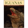 Iguanas by Allison C. Alberts