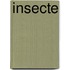 Insecte