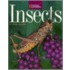 Insects