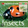 Insects door Pamela Forey