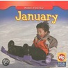 January by Robyn Brode