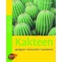 Kakteen