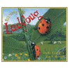Ladybug by Claire Llewelyn