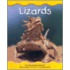 Lizards