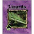 Lizards