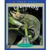 Lizards by Trudi Strain Trueit