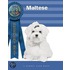 Maltese