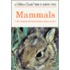 Mammals