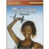 Muscles