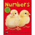 Numbers