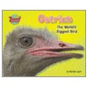 Ostrich by Natalie Lunis