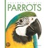 Parrots