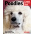 Poodles