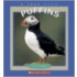 Puffins