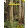 Redwood door Richard A. Rasp