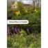 Stinzenflora in Friesland