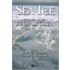 Sea Ice