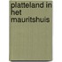 Platteland in het Mauritshuis