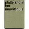 Platteland in het Mauritshuis by Epco Runia