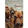 Shelter door Carey Salerno