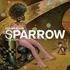 Sparrow