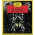 Spiders