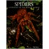 Spiders