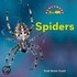 Spiders
