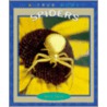 Spiders by Ann O. Squire