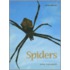 Spiders
